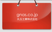 gnas.co.jp